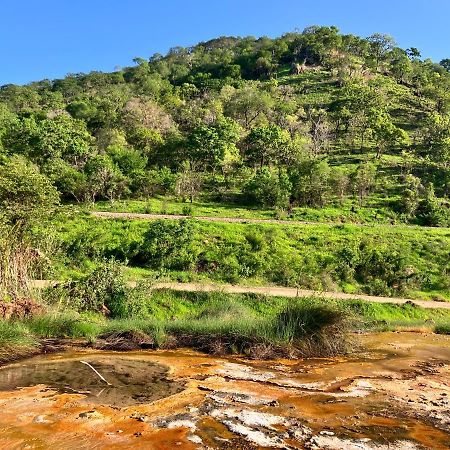 Lemara Eco Camp Otel Kisaki Dış mekan fotoğraf