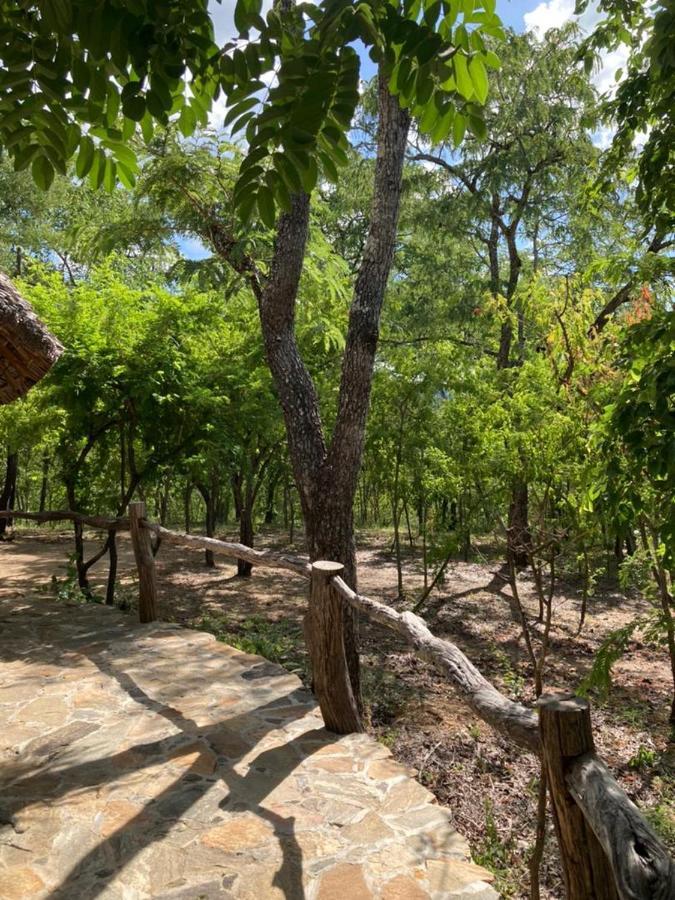 Lemara Eco Camp Otel Kisaki Dış mekan fotoğraf