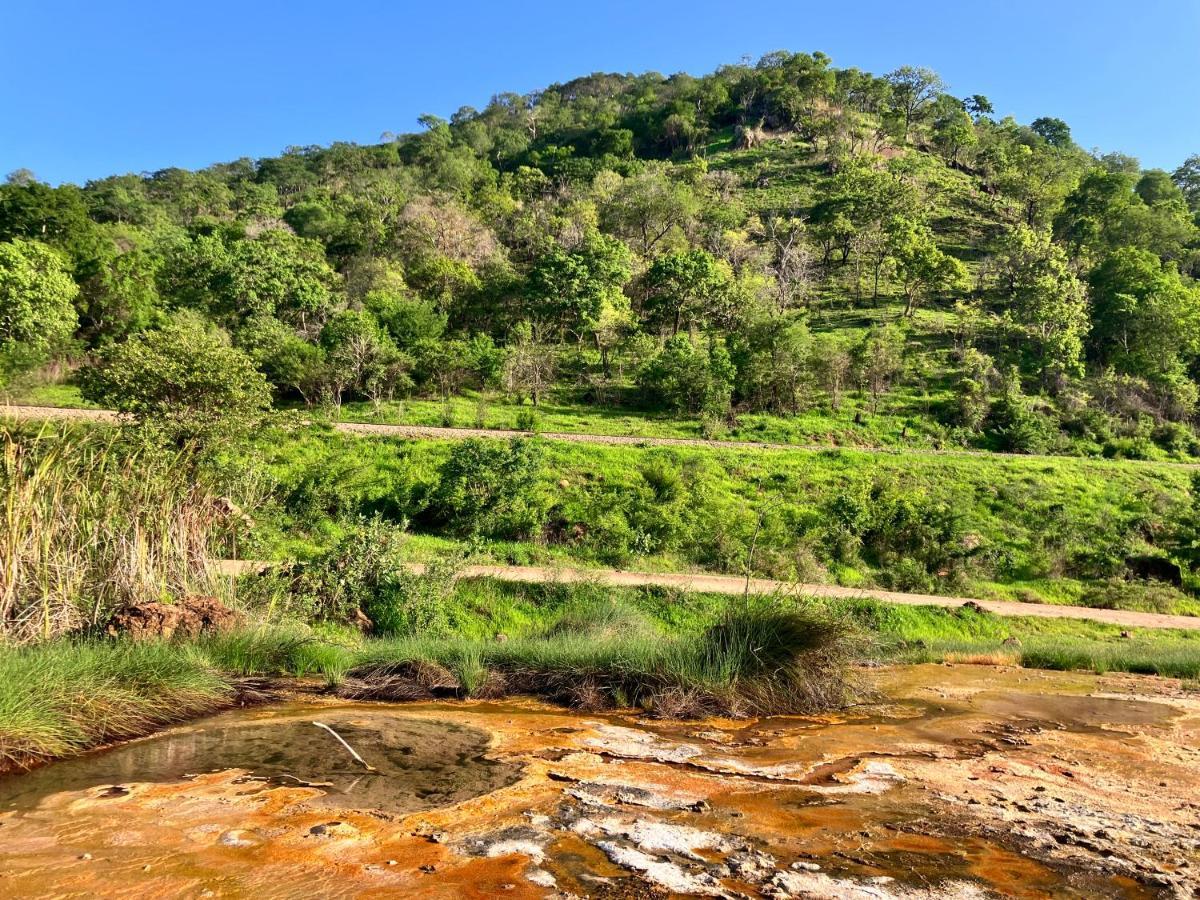 Lemara Eco Camp Otel Kisaki Dış mekan fotoğraf