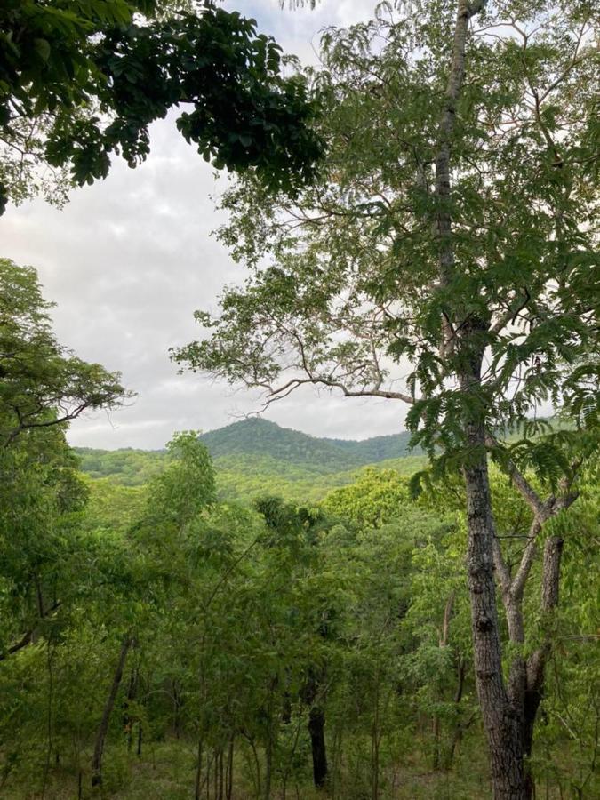 Lemara Eco Camp Otel Kisaki Dış mekan fotoğraf