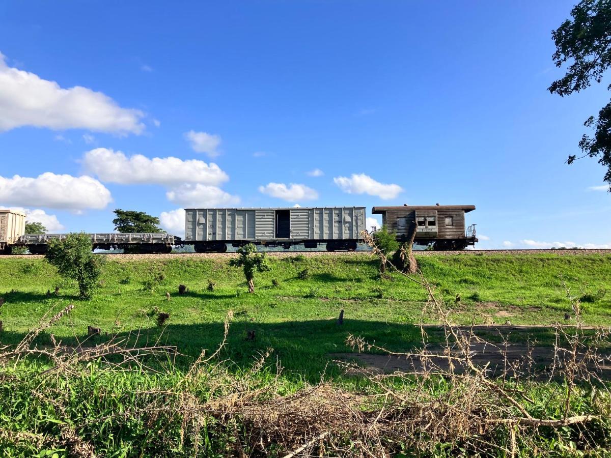 Lemara Eco Camp Otel Kisaki Dış mekan fotoğraf