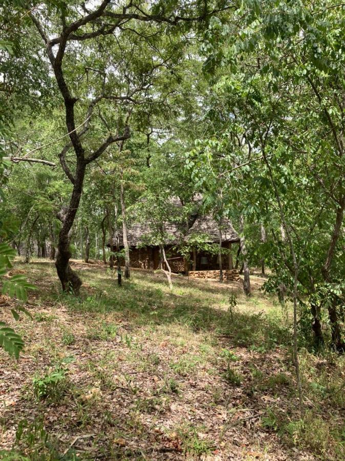Lemara Eco Camp Otel Kisaki Dış mekan fotoğraf
